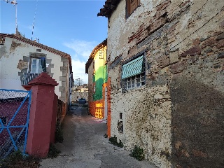 CANARI 15