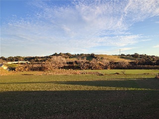 CANARI 16