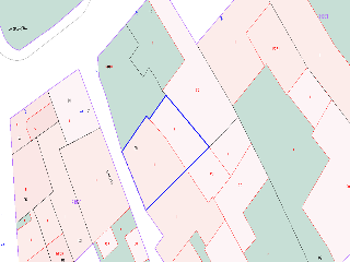 CANARI 18