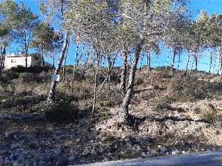 DEL COSMOS. PARCELA 15