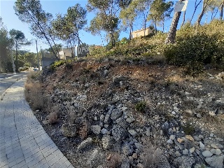 DEL COSMOS. PARCELA 16