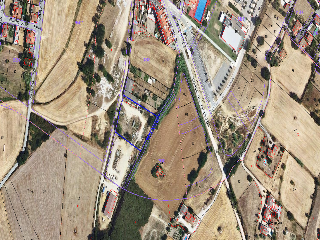 Del Suro 12
