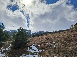 ALP-MOLINA P-2 20