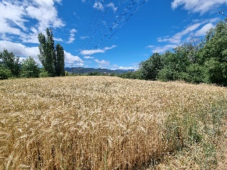 SECTOR LEVANTE SUR I - 12A 18