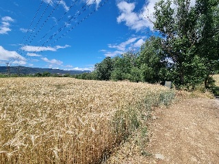 SECTOR LEVANTE SUR I - 12A 20