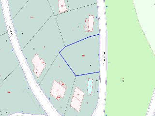 ROSSINYOLS 11