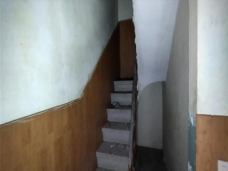 Hilarza 15