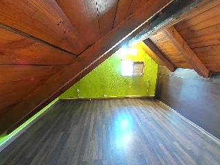  26