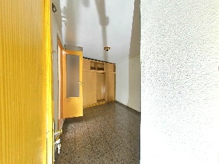  66