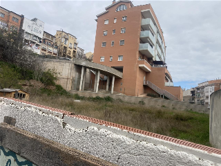 CECCHINI 7