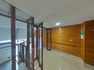 Pio Xii 5
