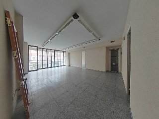 Pio Xii 7