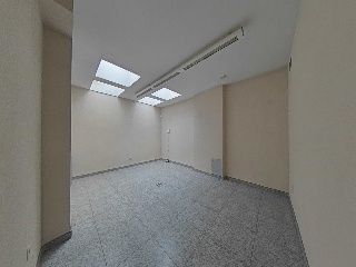 Pio Xii 15