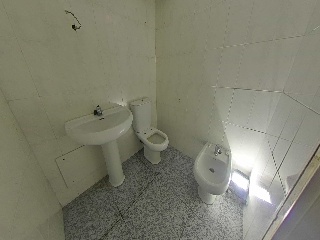 Pio Xii 20