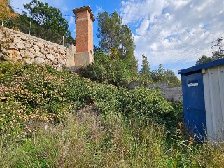 Corona La 13