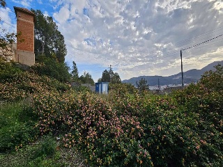 Corona La 14