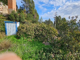 Corona La 19