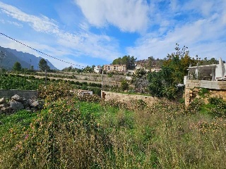 Corona La 23
