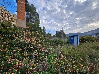 Corona La 30