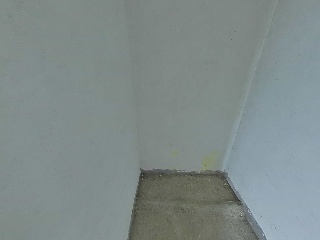  85