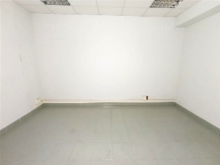 Rosa 8