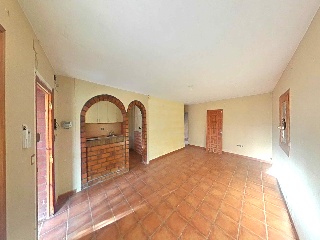 Diseminados 46