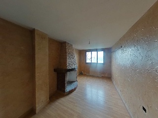 Diseminados 50