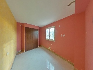 Diseminados 52