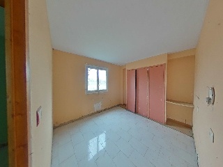 Diseminados 53