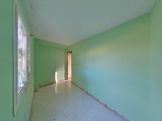 Diseminados 56