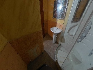 Diseminados 62