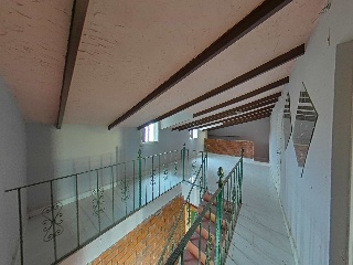 Diseminados 65