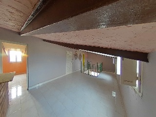 Diseminados 67