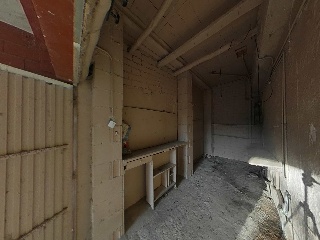 Diseminados 75