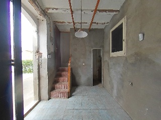Romelia 50