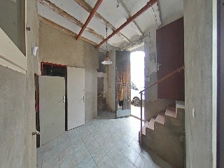 Romelia 52