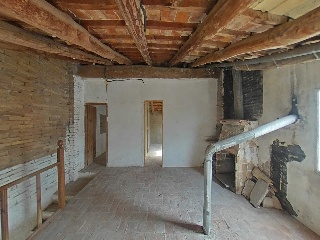Romelia 55