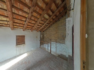Romelia 75