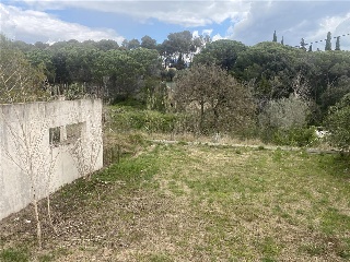 Sagrera 13
