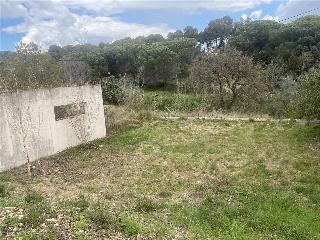 Sagrera 14