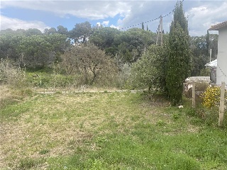 Sagrera 15
