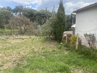 Sagrera 19