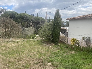 Sagrera 20