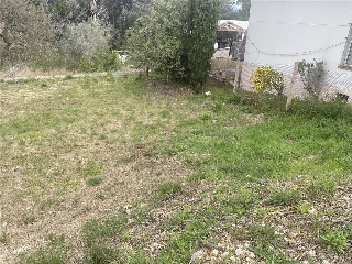 Sagrera 21