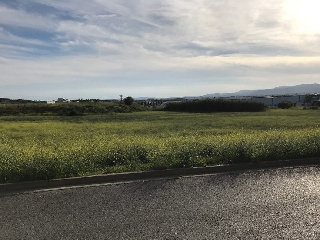 Cami De Moja 7