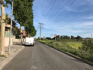 Cami De Moja 8