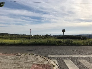Cami De Moja 9