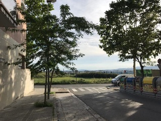 Cami De Moja 11