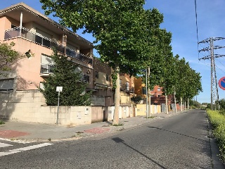 Cami De Moja 13