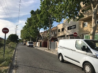 Cami De Moja 14